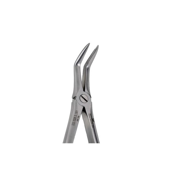 F19 Lower Roots Extraction Forceps - NNA Medical Canada