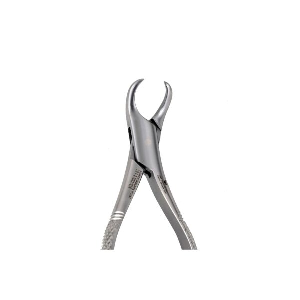 16S Pedo Lower Molars Extraction - NNA Medical Canada